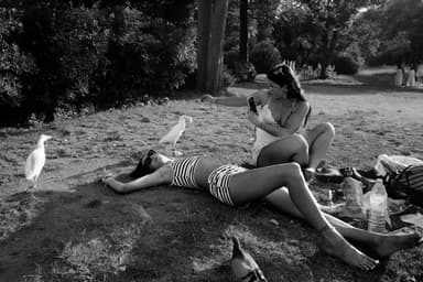 Frame 36